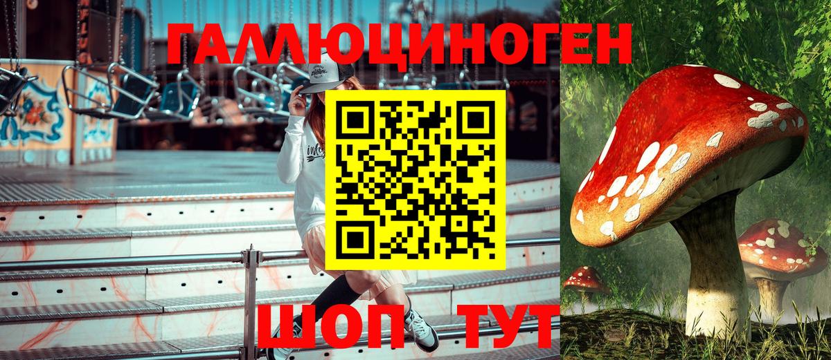 Псилоцибиновые грибы Psilocybe  Вход с VPN  Тобольск 