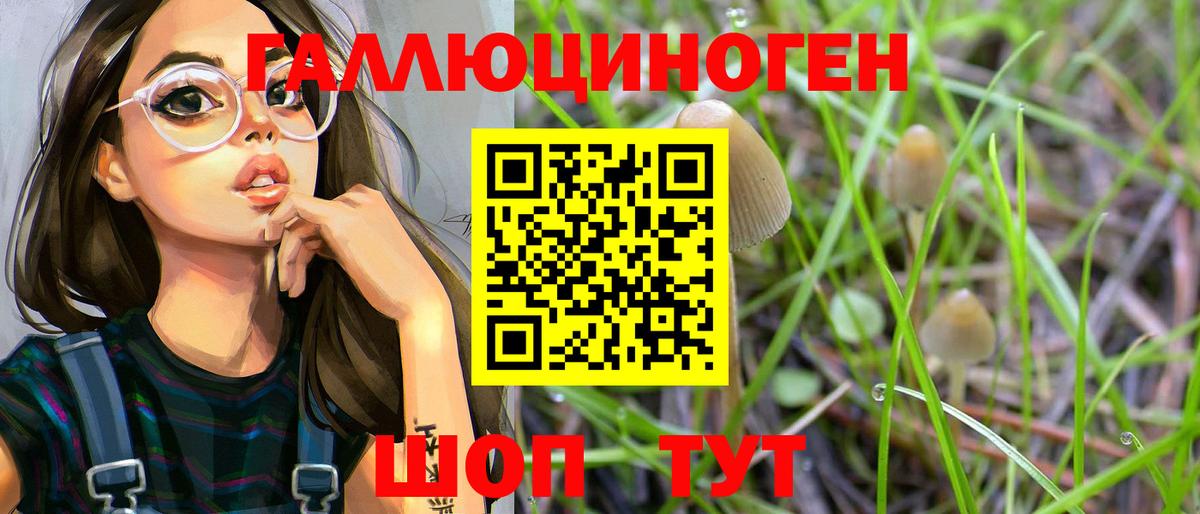 Галлюциногенные грибы Psilocybine cubensis Тобольск